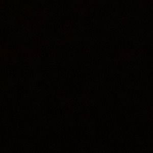 Meet your Posher, Dee